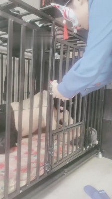 【千梦】我哥偷我袜子被逮住【下】 bf6530