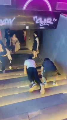 【稚S】群调-双狗酒吧互动【三视角版】 bf12301