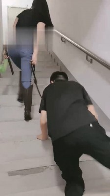 【美帝】御姐楼道遛狗 bf17774