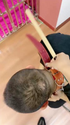 【小祖宗】暴力惩罚不听话狗奴 bf20126