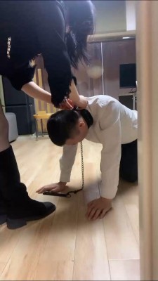 【coco】双奴争宠应聘专属狗狗职位 bf27389