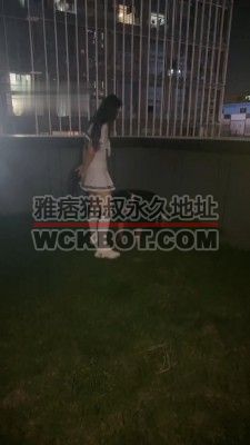 【素人星探】户外172女神骑马/踩脖子/遛狗/闻脚 bf31098