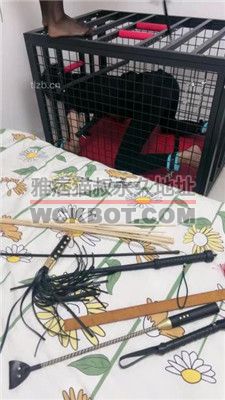 【狠欣然】圈养犬化虐待情侣奴【中】 JS23111251