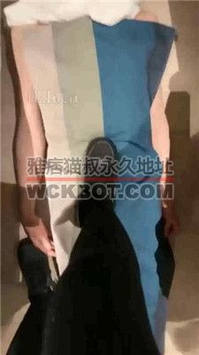 【Zaizz】全体重踩踏地毯狗 JS231225-17