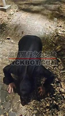 【上头姐妹】户外遇到猥琐男强制吃鞋底 JS240108-14