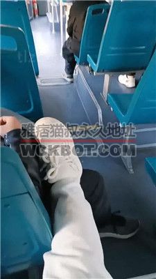 【乐爷】公交车开发素人 JS2402017-4