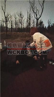 【陶拉大人】户外训狗-踩踏虐打踢踹/骑马耳光 bf39533