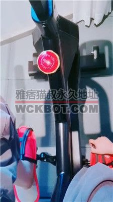 【梦熙】开发健身房教练做狗 JS240330-5