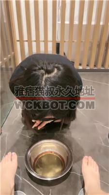 【甜野大王】母畜-圣水刷牙盛宴 JS240517-27