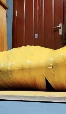 【东营天香百合】臭脚踩虐木乃伊狗 JS241030-2