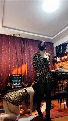 【冷颜】母畜-遛狗犬化/高跟黑丝狂舔 JS241207-42