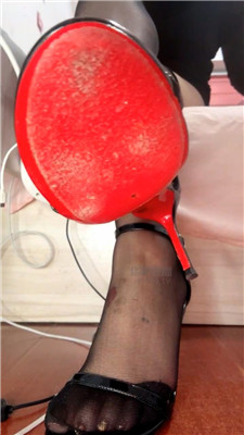 【咬猫】羞辱全家吃屎喝尿    260128-29