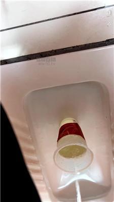 【贝拉】楼梯间玩虐秃头狗 JS260205-2