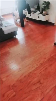 【淘淘】训化鞋奴场 JS260307-12