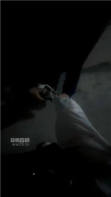 【甜甜】户外玩狗场 JS260322-73