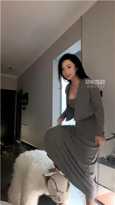 【银河s】训化人形犬 JS260324-39