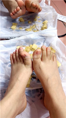 【猫猫】裸足踩香蕉    260325-36