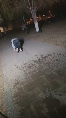 【二宝】大学生S户外调双狗 bf11039