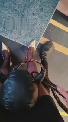 【东营天香百合】天生的玩物 bf11280