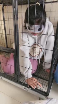 【蜜儿】狗笼里的女闺蜜 bf8274