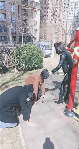 【羽诺】户外遛狗   JS2203153