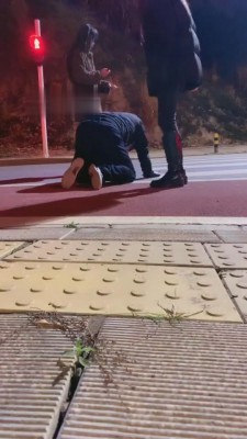 【胖虎】婷宝女高户外双S bf6132