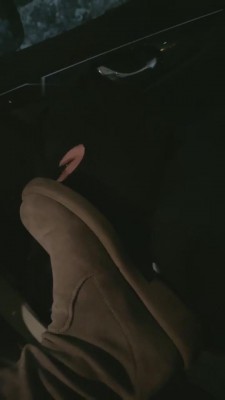 【晚晚S】室外车内调狗 bf7409