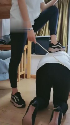 【丹祖宗】无敌母狗马桶-藤条耳光 bf4311