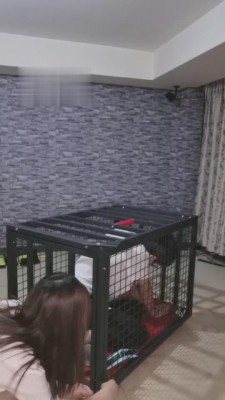 【夏夏绳缚】囚禁虐待圈养狗 bf4569