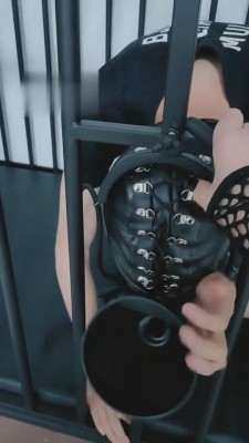 【就是喜欢玩啊】狗笼里可怜的狗 bf5596