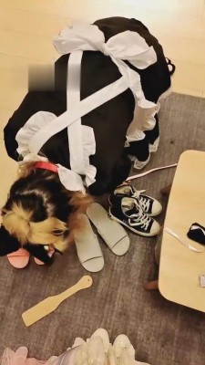 【女攻驾到】女仆装日常犯贱