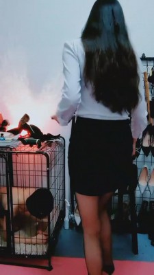 【云儿主】白领丝袜调狗笼圈养狗 bf2764