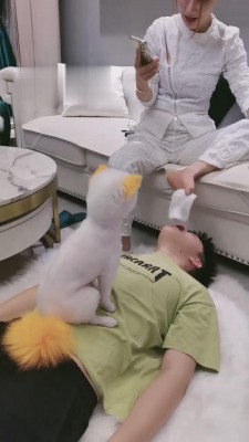 【沈阳妮可】一只被圈养的人形犬 bf12779