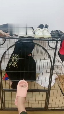 【小猫咪】生活化调圈养狗奴 bf19213