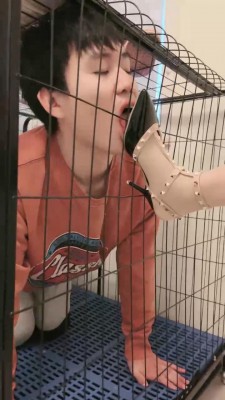 【安静/陌初】带闺蜜踩踏耳光舔鞋狗【双视角版】