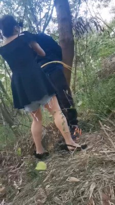 【妲己】野外暴虐狗奴 bf20255