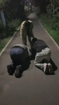 【暖暖】御姐野外溜双狗 bf20422