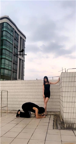 【Fiona菲菲】天台调教尾随狗 bf21488