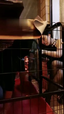 【傲雪】废物绿帽香水羞辱 bf21745