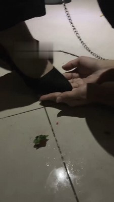 【伊妮S】开发素人做狗 bf22022