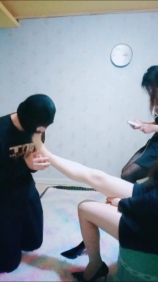 【艾琳】双S调DOG【双视角版】 bf22913