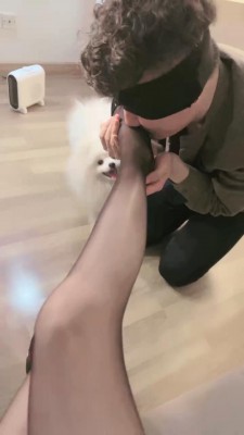 【爱神】浓痰裸足极度羞辱狗 bf23799