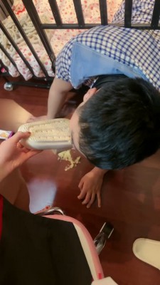 【桃幼幼】狗笼 圈养踩踏食物喂食/强制深喉 bf24544