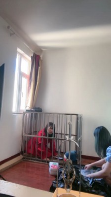 【萝莉刑】狗笼里的母畜 bf24633