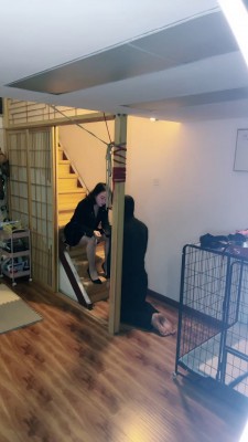 【十月】日式调教室首调废物 bf24641