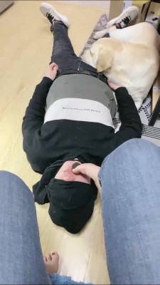 【小布丁S】人不如狗系列（二） bf25070