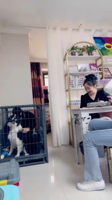 【二宝】真实-美甲店当着技师的面玩狗/关狗笼/强迫喝洗脚水 bf25638