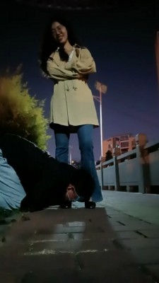 【嘉妮】户外惩罚跟踪狂-骑马遛狗舔脚【双视角完整版】 bf25741