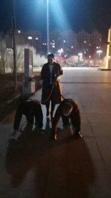 【冷御女王】高贵女王户外溜双狗奴 bf26991