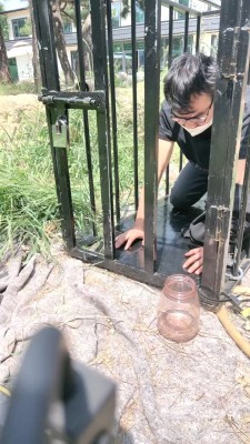 【沅芷大人】关狗笼圈养犬化-手铐捆绑/高跟踩踏 bf28263